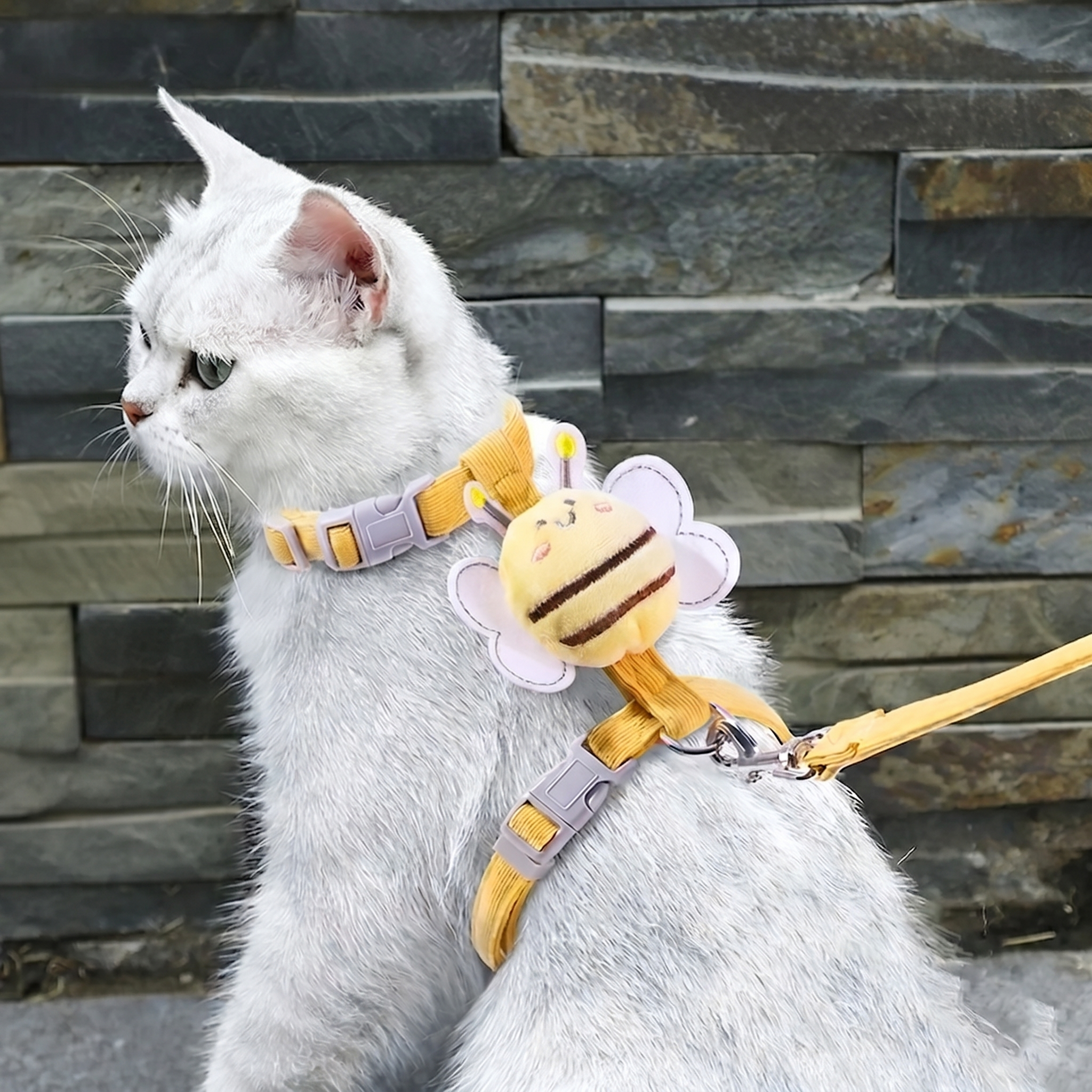 Bee Cat Harness and Lead Set