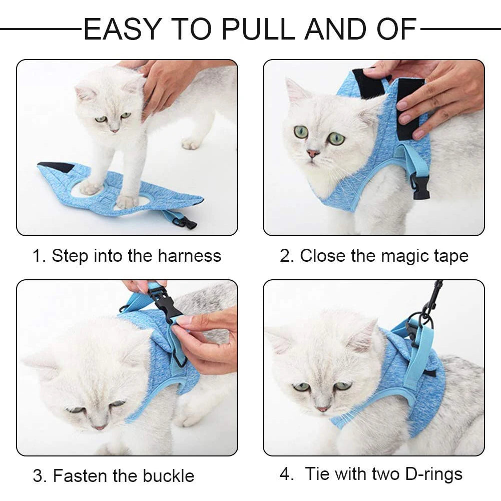 Escape-Proof Cat Harness and Lead Set