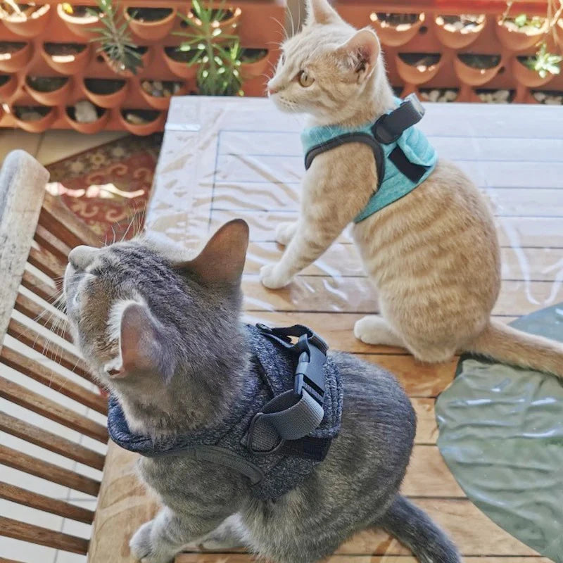 Escape-Proof Cat Harness and Lead Set