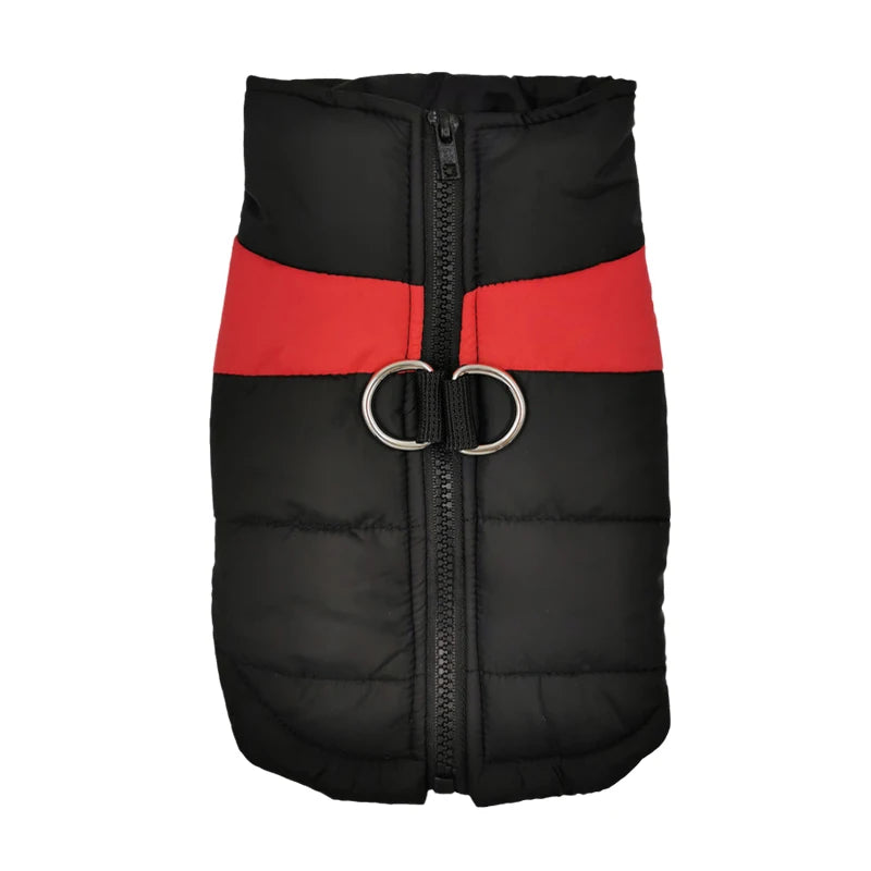 Padded Dog Jacket with Harness Ring