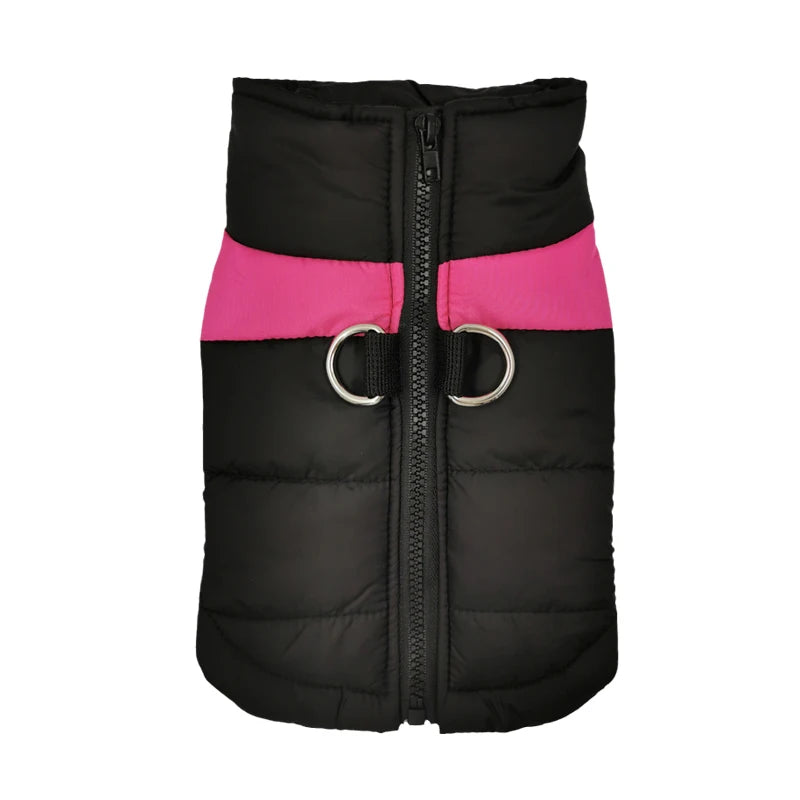 Padded Dog Jacket with Harness Ring