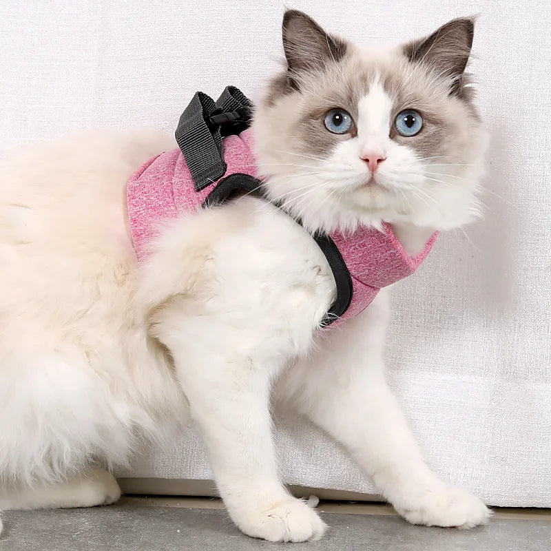 Escape-Proof Cat Harness and Lead Set