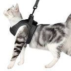 Escape-Proof Cat Harness and Lead Set
