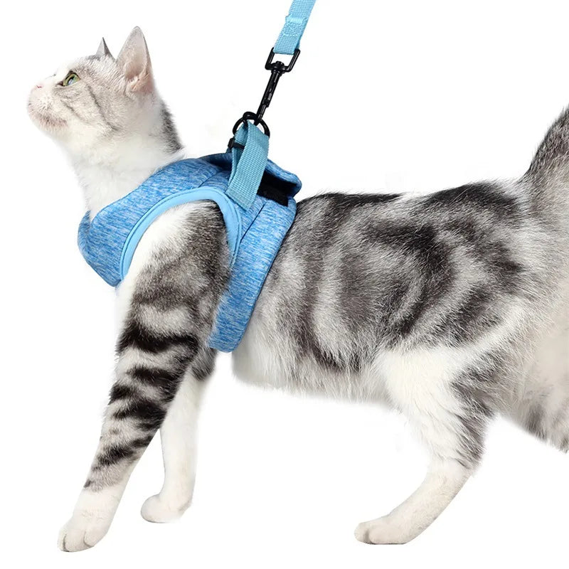 Escape-Proof Cat Harness and Lead Set