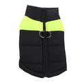 Padded Dog Jacket with Harness Ring