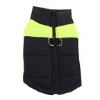 Padded Dog Jacket with Harness Ring