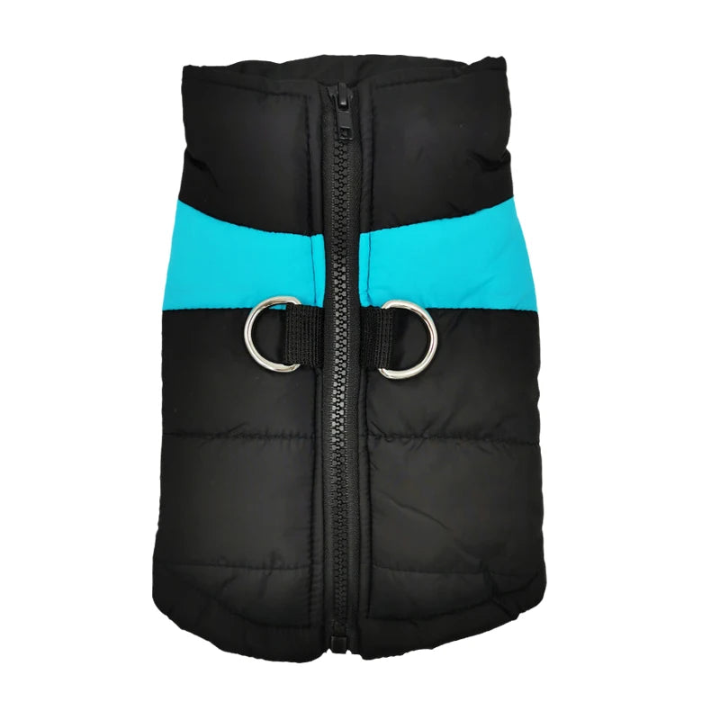 Padded Dog Jacket with Harness Ring