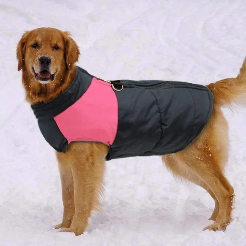 Padded Dog Jacket with Harness Ring