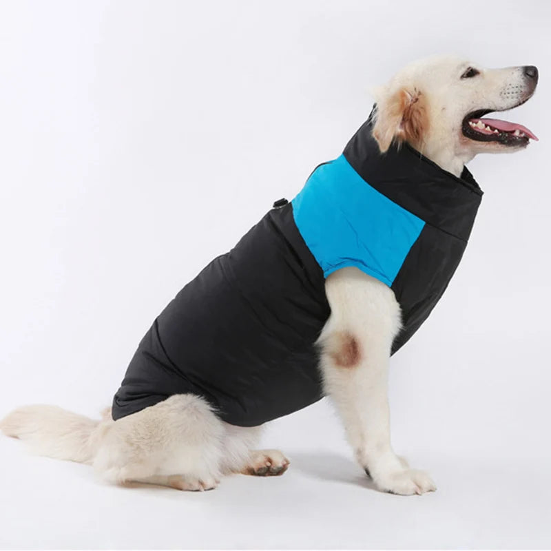 Padded Dog Jacket with Harness Ring