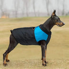 Padded Dog Jacket with Harness Ring