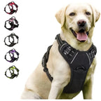 No-Pull Dog Harness with Handle