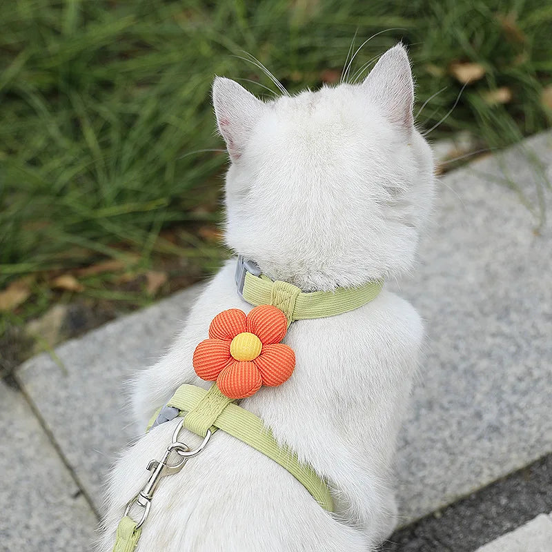 Flower Cat Harness and Lead Set