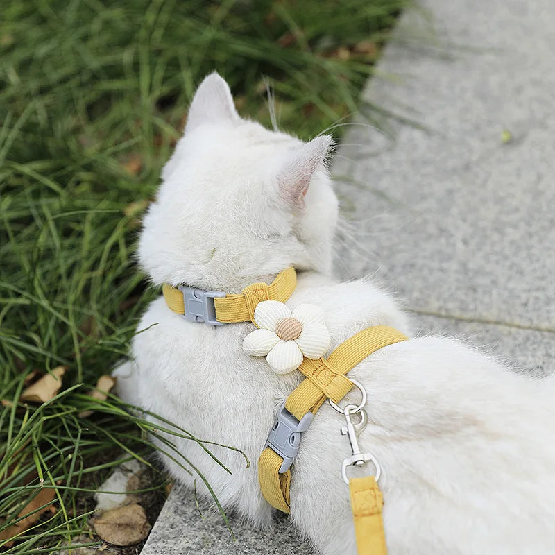 Flower Cat Harness and Lead Set