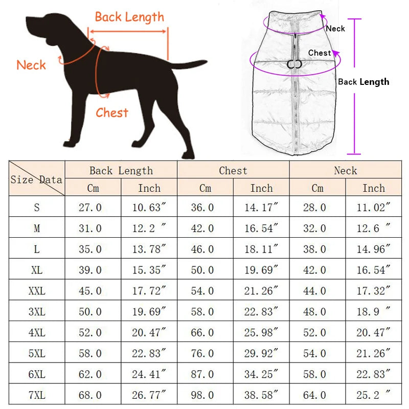 Padded Dog Jacket with Harness Ring