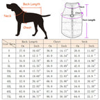 Padded Dog Jacket with Harness Ring