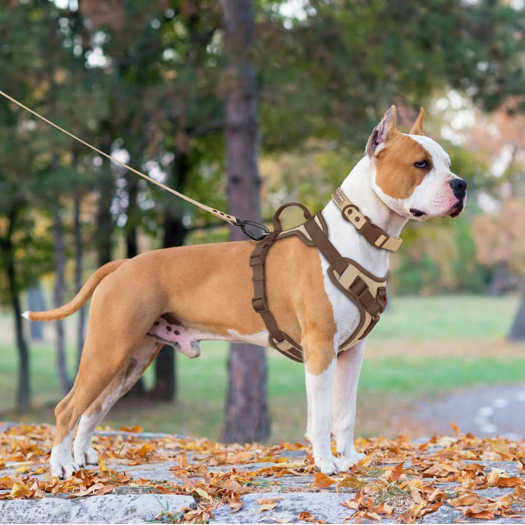 No-Pull Dog Harness with Reflective Strip