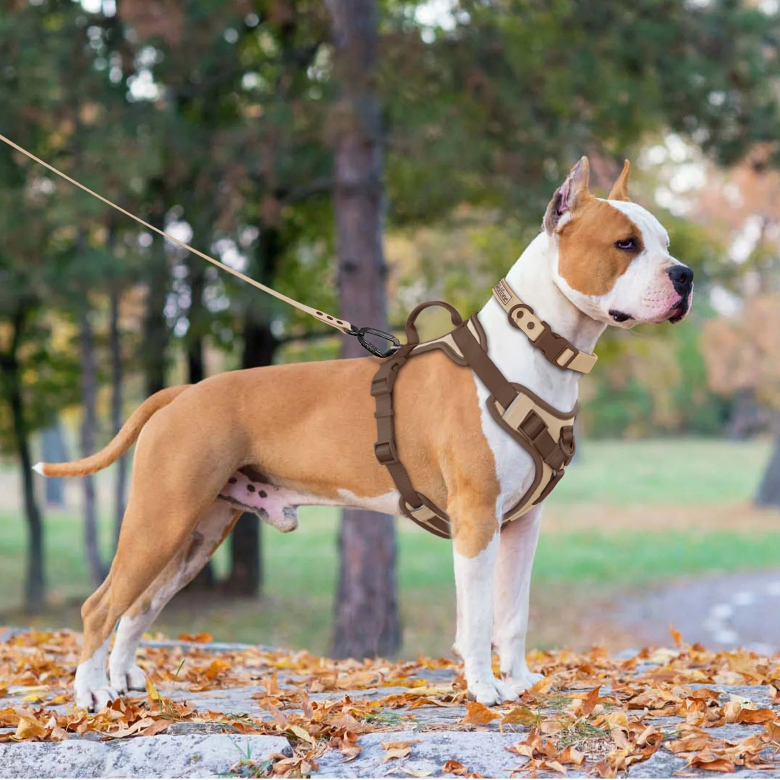 No-Pull Dog Harness with Reflective Strip