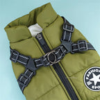 Padded Dog Jacket with Built-In Harness