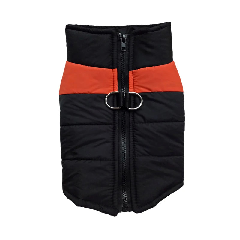 Padded Dog Jacket with Harness Ring