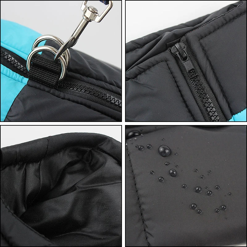 Padded Dog Jacket with Harness Ring