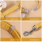 Bee Cat Harness and Lead Set