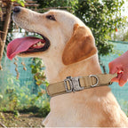 Tactical Dog Collar