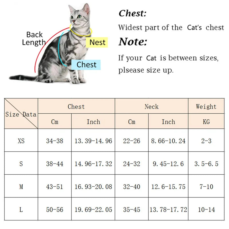 Soft Cat Harness and Lead Set