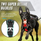 No-Pull Dog Harness with Handle