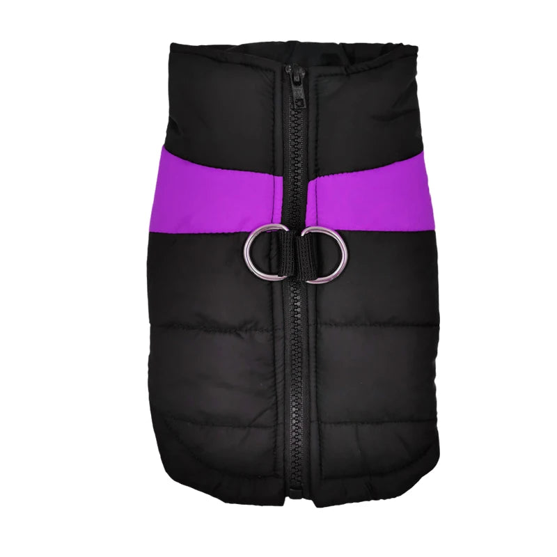Padded Dog Jacket with Harness Ring