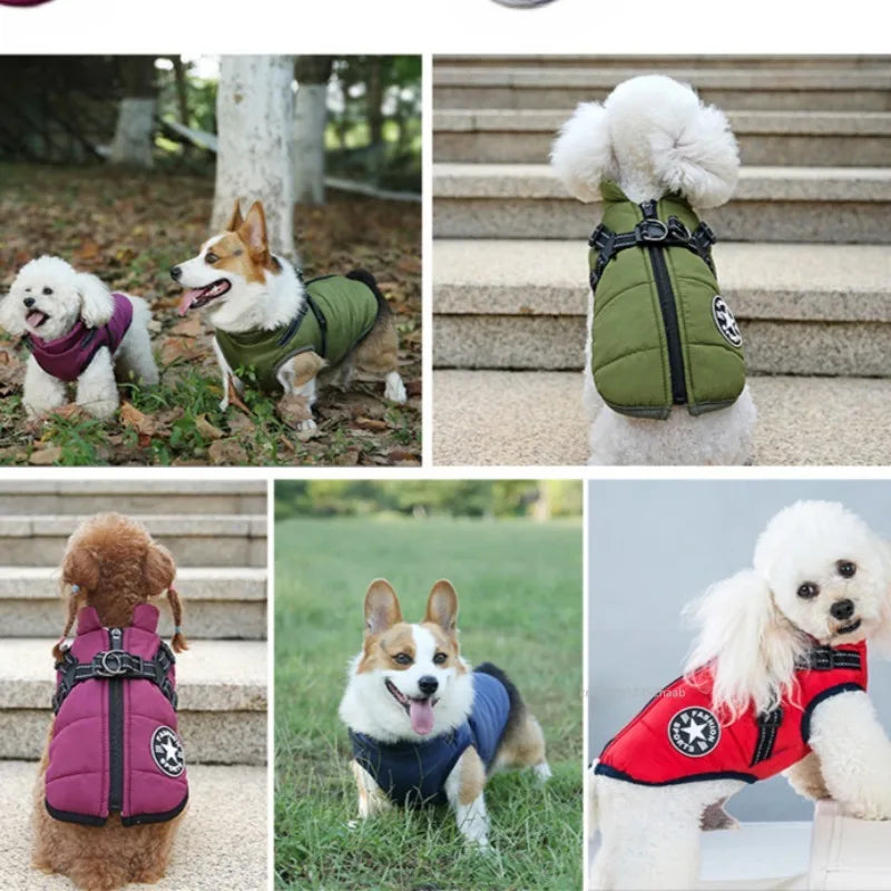 Padded Dog Jacket with Built-In Harness