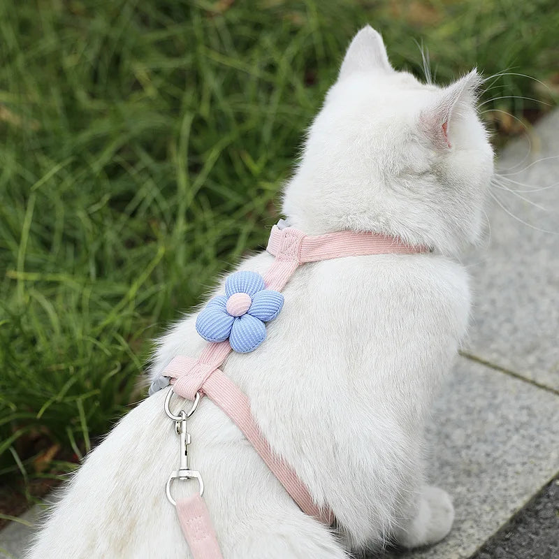 Flower Cat Harness and Lead Set