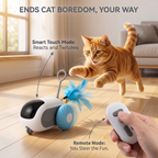 Remote Control Cat Toy Car