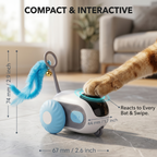 Remote Control Cat Toy Car