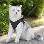 Escape-Proof Cat Harness and Lead Set