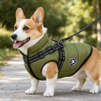 Padded Dog Jacket with Built-In Harness