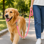 Waterproof Dog Training Leash